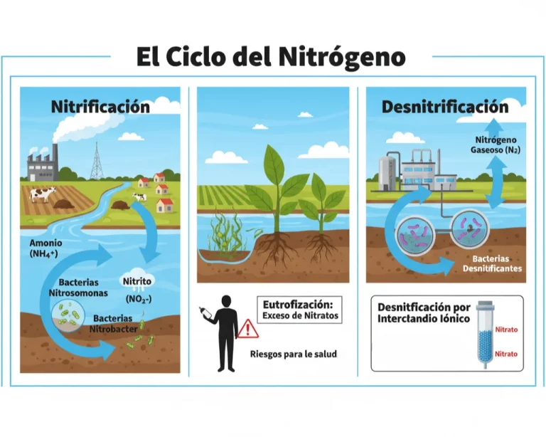 nitrificación vs desnitrificació